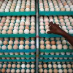 ‘എന്റെ കരുത്തിന് ജന്മദിനാശംസകൾ’; അച്ഛൻ ബോബൻ കുഞ്ചാക്കോയ്ക്ക് ജന്മദിനാശംസകളുമായി ചാക്കോച്ചൻ