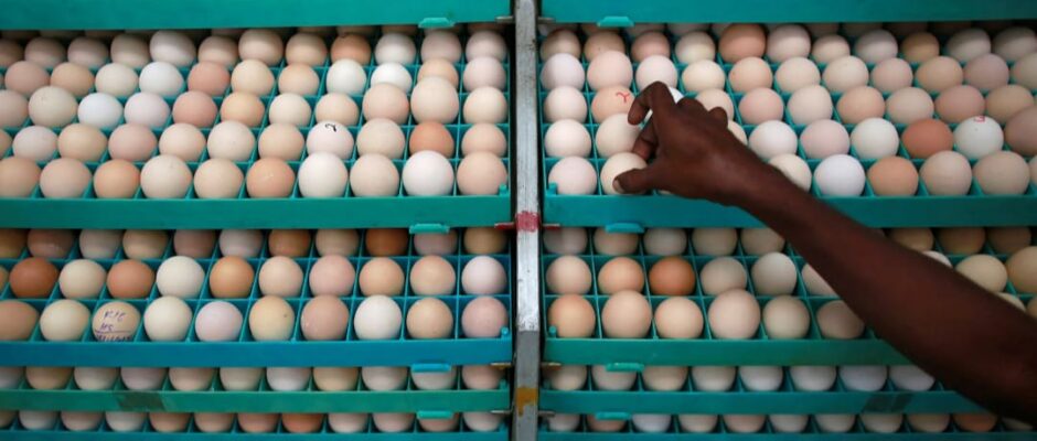 പൊള്ളുന്ന മുട്ടവില;