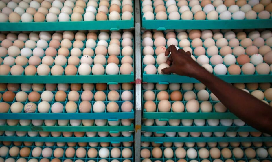 പൊള്ളുന്ന മുട്ടവില;