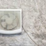 ‘ഇത് മന്ത്രിമാരെ തീറ്റിക്കണം’; പുഴുവരിച്ച റേഷൻ അരിക്കെതിരെ ആലപ്പുഴയിൽ വീട്ടമ്മയുടെ പ്രതിഷേധം.