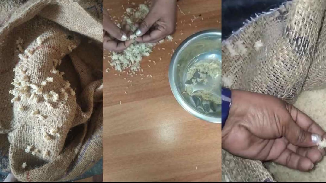 ‘ഇത് മന്ത്രിമാരെ തീറ്റിക്കണം’; പുഴുവരിച്ച റേഷൻ അരിക്കെതിരെ ആലപ്പുഴയിൽ വീട്ടമ്മയുടെ പ്രതിഷേധം.