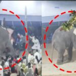 പ്രണയം നടിച്ച് ‘ക്വട്ടേഷൻ’ മരണം; കാമുകിയുടെ വീട്ടുകാരുടെ മനസ്സ് മാറ്റാൻ സ്വന്തം ജീവൻ പണയപ്പെടുത്തി യുവാവ്