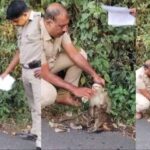 ഓസ്കർ തിളക്കത്തിൽ ഇന്ത്യ; മികച്ച ചിത്രങ്ങളുടെ പട്ടികയിൽ ‘കാന്താര’യും ‘തൻവി ദ ഗ്രേറ്റും’