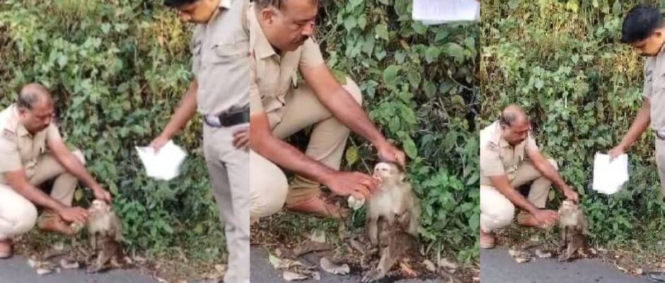 മാതൃകയായി പൊന്മുടി പോലീസ്;