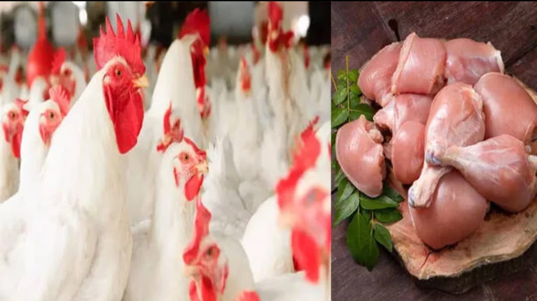ചിക്കൻ കൂട്ടാൻ ഇനി ‘പൊള്ളും’; സംസ്ഥാനത്ത് കോഴിയിറച്ചി വിലയിൽ വൻ വർധന