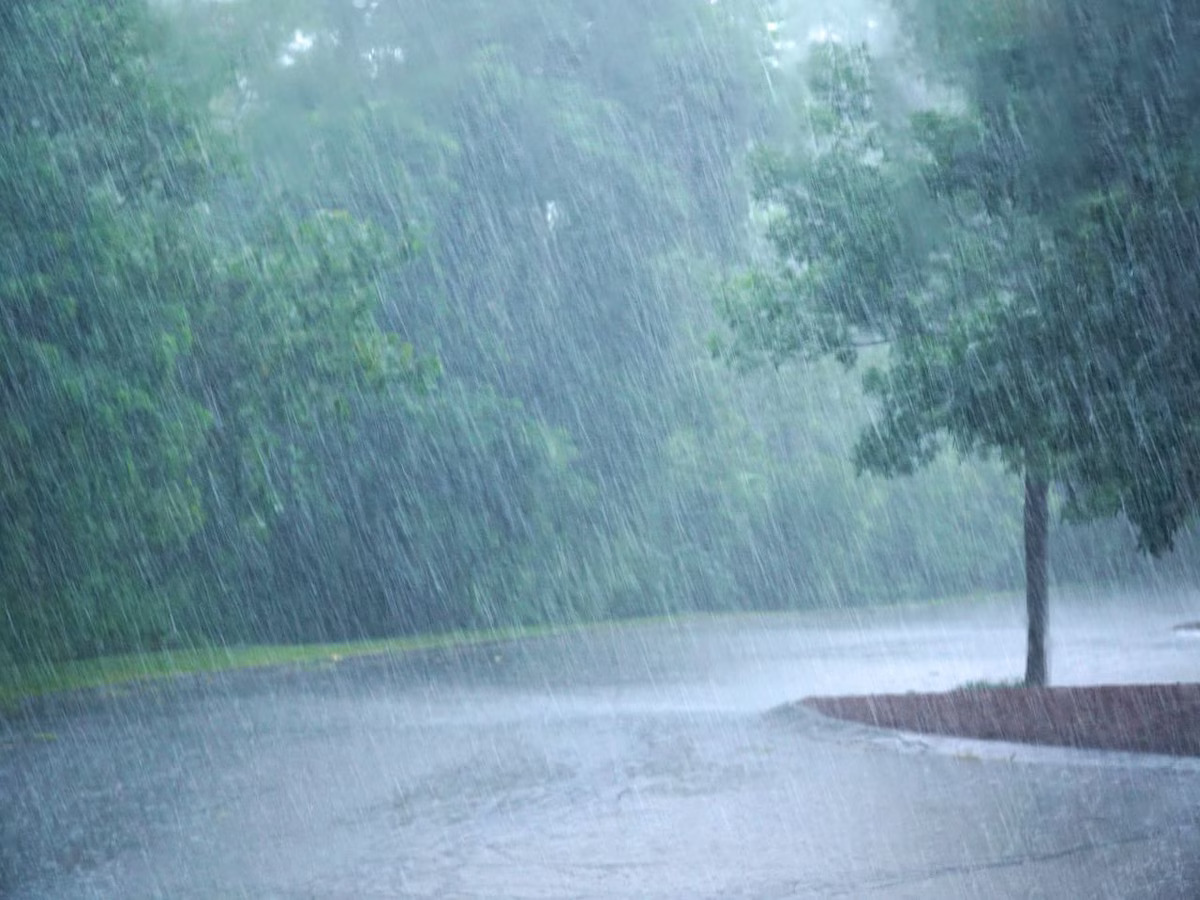 മഴക്കെടുതി: വടക്കൻ കേരളത്തിൽ ഓറഞ്ച് അലർട്ട്; ജാഗ്രത തുടരുന്നു