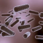 വിസ്മയമായി ഡയസ്; കേപ് വേർഡെയുടെ ഗോൾവലയ്ക്ക് നാൽപ്പതുകാരൻ കാവൽ 