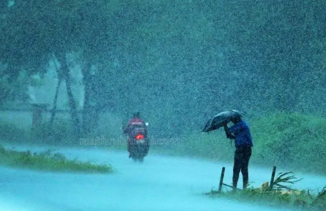 കനത്ത മഴ; വയനാട്ടിൽ അവധി; 3 ജില്ലകളിൽ ഓറഞ്ച് അലർട്ട്