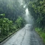 കാൾസ്‌ബർഗ് ഇന്ത്യ ഓഹരി വിപണിയിലേക്ക്; 6,700 കോടിയുടെ ഐപിഒയ്ക്ക് നീക്കം