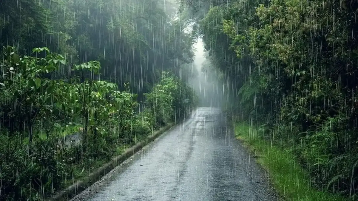 കേരളത്തിൽ മഴ കനക്കുന്നു: 11 ജില്ലകളിൽ ജാഗ്രത