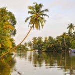 കടലിൽ കാണാതായ ജോണിനും ഷിജിനും ​ഗൗതമിനും വേണ്ടി തിരച്ചിൽ ഇന്നും തുടരുന്നു