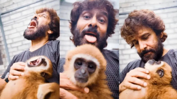 വംശനാശഭീഷണിയിലെ ലാർ ഗിബ്ബൺ കുരങ്ങുമായുള്ള വീഡിയോ: നടൻ വിക്രമിന് വനംവകുപ്പിന്റെ നോട്ടീസ്