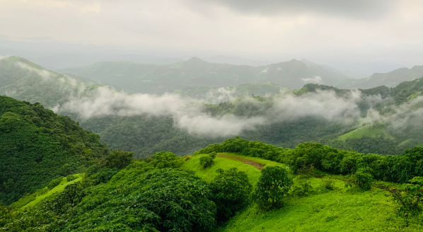 ഇ.എസ്.എ കരട് വിജ്ഞാപനം: അഭിപ്രായങ്ങൾ അറിയിക്കാനുള്ള അവസാന തീയതി ഇന്ന്