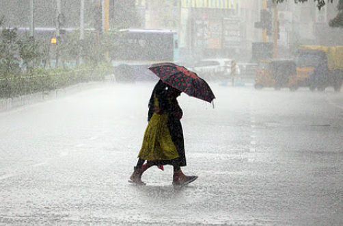 സംസ്ഥാനത്ത് ശക്തമായ മഴയ്ക്ക് സാധ്യത: വിവിധ ജില്ലകളിൽ യെല്ലോ അലർട്ട് പ്രഖ്യാപിച്ചു