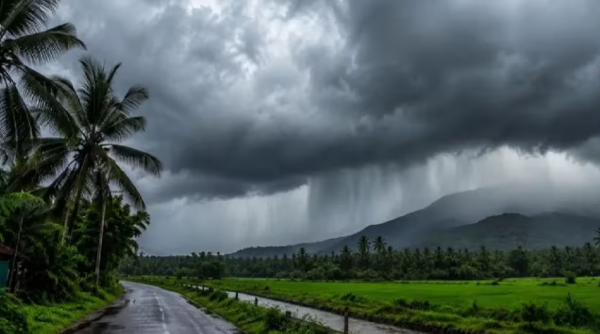 കാലവർഷം സജീവം: അടുത്ത അഞ്ച് ദിവസം ഒറ്റപ്പെട്ട ശക്തമായ മഴയ്ക്ക് സാധ്യത