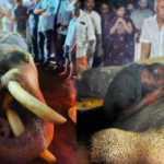 പ്ലാനിംഗ് ബോര്‍ഡ് പരീക്ഷാ ക്രമക്കേട്: പിഎസ്‌സിക്കെതിരെ ഹൈക്കോടതി